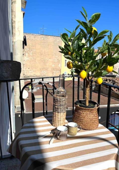 83m2 De Charme Au Coeur De La Cite Imperiale Appartement Ajaccio (Corsica)