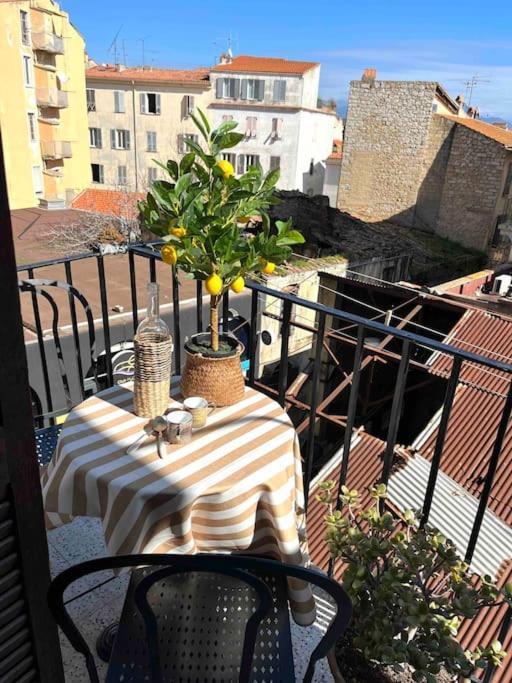 83m2 De Charme Au Coeur De La Cite Imperiale